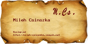 Mileh Csinszka névjegykártya